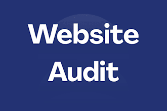 do complete audit for your website