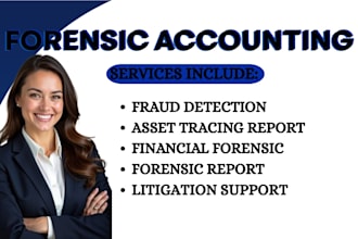 provide forensic accounting fraud detection and litigation support reports