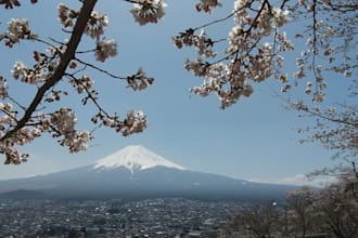 provide professional japanese proofreading and creative localization
