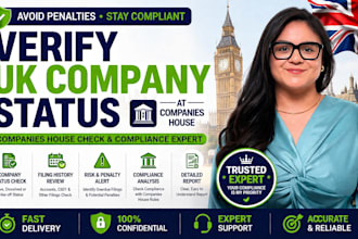 verify UK company status and compliance at companies house