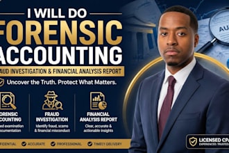 forensic accounting, fraud investigation, financial analysis report, asset trace