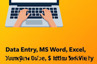do urgent data entry, copy paste, PDF to excel in 6 hours