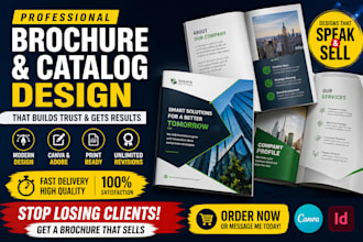 design modern marketing brochure, brand catalog, canva adobe PDF layout