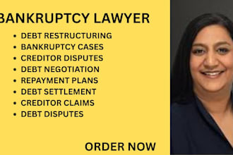 handle bankruptcy cases, debt restructuring and creditor dispute documents