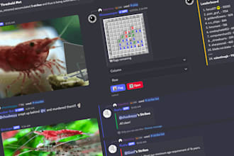 develop a custom discord bot