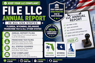 file llc annual report for US llc in florida, woming, delaware franchise tax