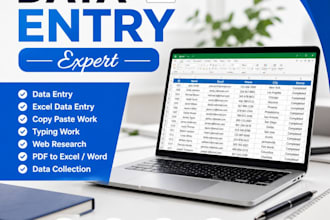 do accurate data entry, excel data entry
