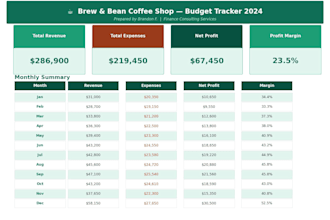 create a professional budget tracker or financial model in excel