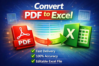 do data entry, copy paste, typing, pdf to excel, scanned pdf, excel conversion