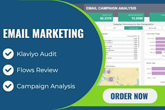 do klaviyo audit for email performance, flows review, and campaign analysis