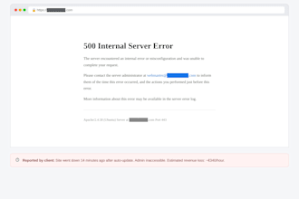 any wordpress error, wsod, 500 or critical bug fast