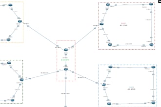 do networking projects and provide network consultation
