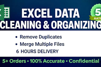 clean and organize excel or CSV data in 6 hours