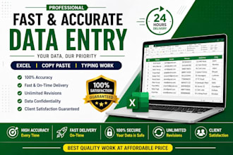 do fast and accurate data entry, copy paste, excle work
