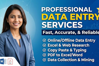 provide professional data entry and copypaste services