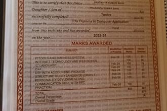 do professional image to pdf conversion and data entry