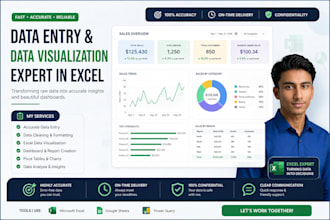 do data entry and excel visualization