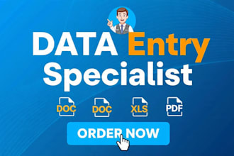 do fast and accurate data entry, ms word typing