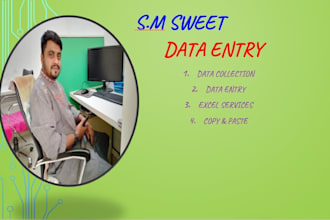 do professional data entry and excel inventory management