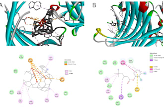 write highimpact scientific manuscripts and review articles