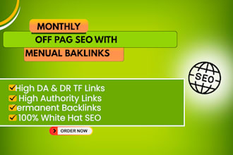 provide professional SEO audit and on page optimization