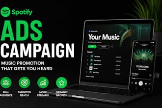 run a professional spotify ads campaign for music promotion