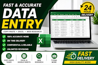 do fast and accurate data entry, copypaste, excel work