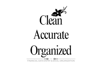 do financial data entry in excel