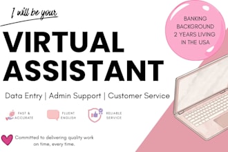 be your virtual assistant for data entry
