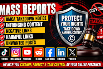 remove copyright takedown harassing mass reports facebook instagram youtube dmca