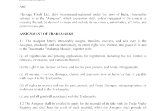draft legal contract, agreement and legal document
