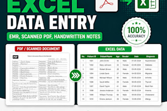 do fast PDF to excel data entry from any scanned files