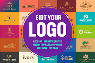 edit, recolor, change font, redraw, svg, make transparent logo within 1 hour