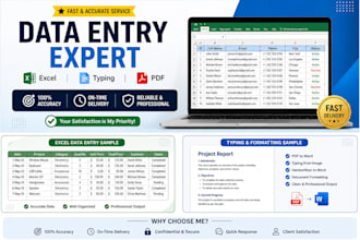 accurate data entry, typing and excel services