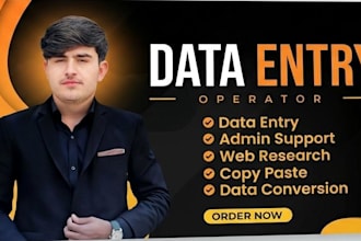do professional data entry, copy paste, and web research