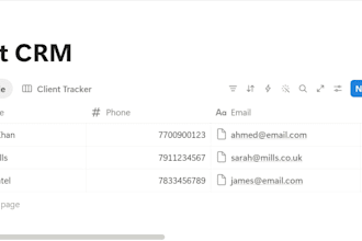 set up a professional notion CRM system for your small business