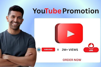 do super fast organic youtube video promotion