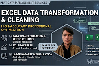 do expert excel data formatting cleaning and transformation