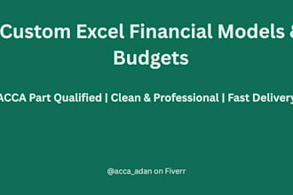 build a custom excel financial model or budget for your business