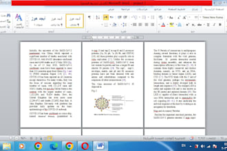 do data entry , pdf to word or excl conversion professionally