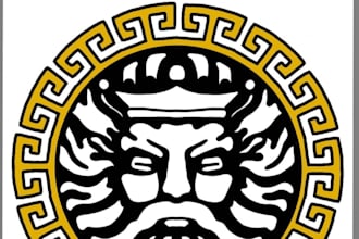 design a unique modern logo with fast delivery