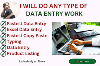 do fast and accurate data entry and typing work