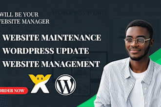do website maintenance, website management and wordpress updates for your site