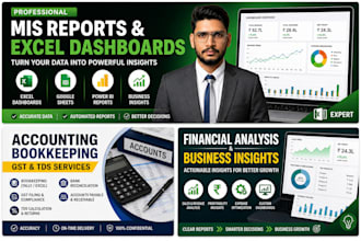 create professional mis reports and excel dashboards