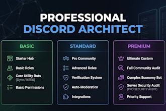 design a professional discord server