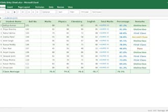 do fast and accurate data entry in excel and PDF conversion