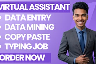 do your virtual assistant for data entry, copy paste, typing and web research