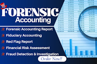 do forensic accounting, financial audit, fraud investigation, asset tracing, due