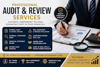 perform internal, external, and interim financial statement audits and reviews