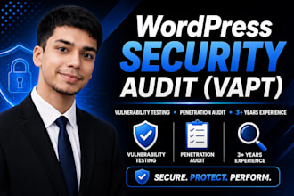 do website penetration testing and security audit